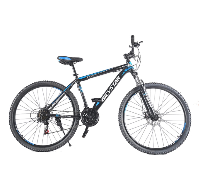 bicystar mountain bike