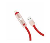 Dany DU2 Standard 2 in 1 Dual Cable Image