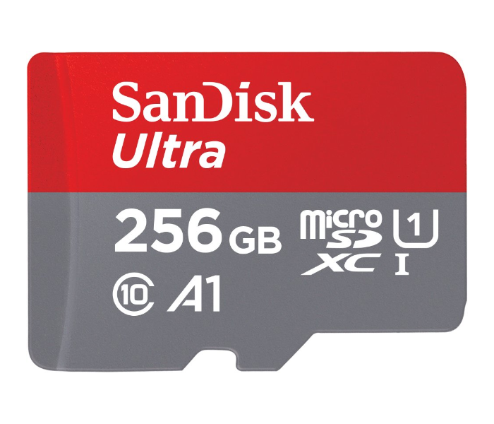 SanDisk SDXC256 256GB Class 10 MicroSD Card