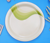 Royalford RF8078 11-inch Melamine Ware Super Rays Dinner Plate - Ivory & Pista Green