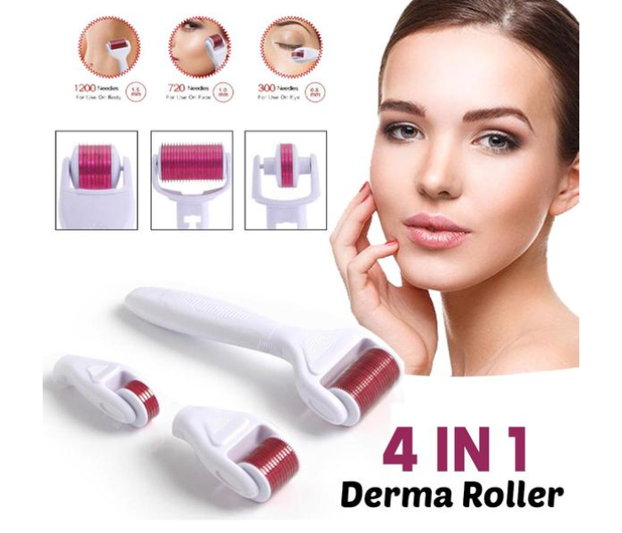 4 In 1 Derma Roller Stainless Set with Travel Case  - Similar Product Imag - ID 80853