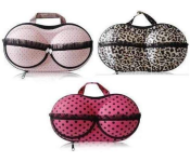 Portable Bra Storage Bag With Net Travel Organiser Image
