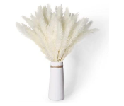 Galaxy 30 Pieces Large Faux Pampas Grass  - Similar Product Imag - ID 116855