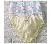 Pack of 4 Piece Mixed Color Large Soen Panty for Women
