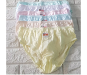 Pack of 4 Piece Mixed Color Medium Soen Panty for Women