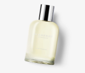 Burberry 100ml Weekend Eau de Parfum for women Image