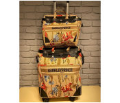 Barrley prince Women Paris Travel Trolly With Hand Image