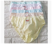 Bundle 10 PCs Set Mixed Color XL Soen Panty for Women