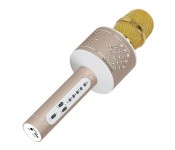 Promate VocalMic-3 Multi Function Wireless Karaoke Microphone with Built in Speaker, Rose Gold