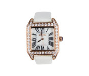 DND DW14764 Analog Watch for Women - White