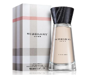 Burberry Touch for Women Eau de Parfum 100ML  - Similar Product Imag - ID 141180