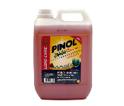 Q PAC ANTISEPTIC DISINFECTANT LIQUID 5L 1 PCS  - Similar Product Imag - ID 7142362