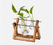 Transparent Plant Vase with Wooden Stand  Great Home Room Decoration  - Similar Product Imag - ID 7143312