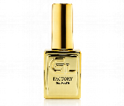 Gl1006 Gold Gel Polish Fashion 110 Tpo Free 15G  - Similar Product Imag - ID 7165784