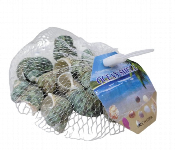 Decorative Natural Green Turbo Ocean Shell Set 5180  - Similar Product Imag - ID 7166916