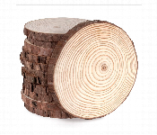 Natural Wood Slice 13Cm 1Pc Unfinished Wooden Disc Diy  - Similar Product Imag - ID 7167392