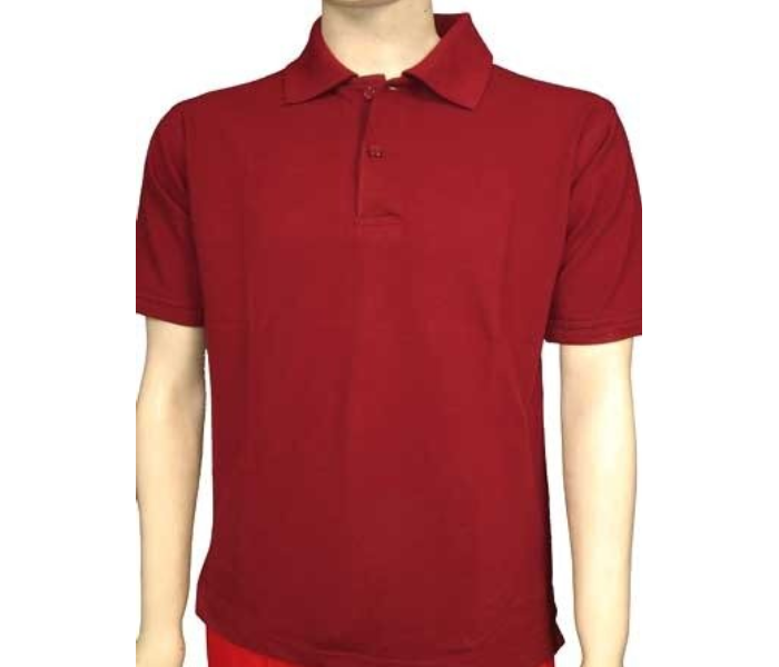 Express Delivery - Premium Honey Comb Polo T-Shirt for XXL Men - Maroon - ID 53839