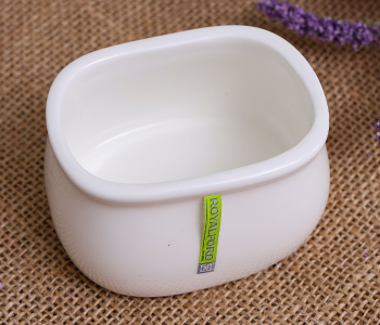 Royalford RF8772 Porcelain Ware Sugar Toothpick Bowl - White in UAE