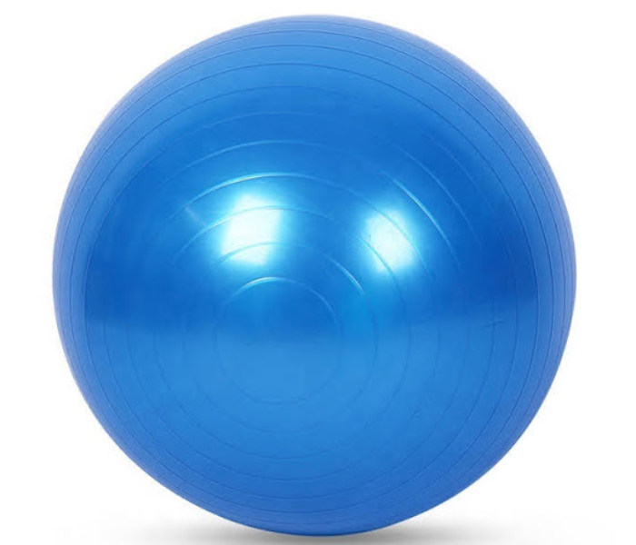 Express Delivery - GTC Stability Gym Balance and Yoga-Ball Gym Exercise Ball for Fitness - Blue - ID 73213