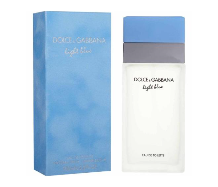 Dolce and Gabbana Light Blue 100ml Eau de Toilette for Women Front View - ID 93907