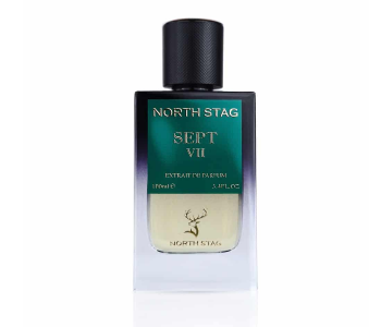 Paris Corner 100ml North Stag Sept VII Extrait De Parfum in UAE