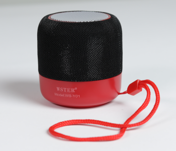 WSTER WS-Y01 Wireless Stereo Speaker - Black in UAE