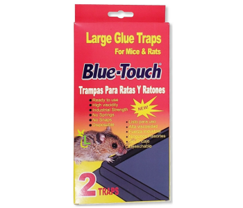 Generic 2 Pieces Large Glue Traps For Mice And Rats in UAE