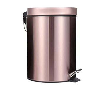 Express Delivery - Stainless Steel Dust Bin 8 Litre - Gold - ID 117616