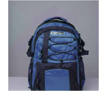 Express Delivery - Para John PJSB6038A20 20-inch School Backpack - Blue - ID 122919