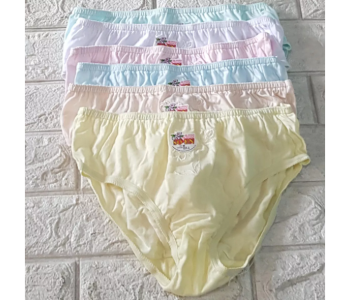 Pack Of 4 Piece Mixed Color XL Soen Panty For Women in KSA