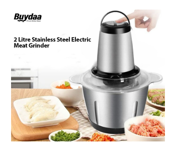 Multifunctional 250W 2 Litre Stainless Steel Electric Meat Grinder - Silver in UAE