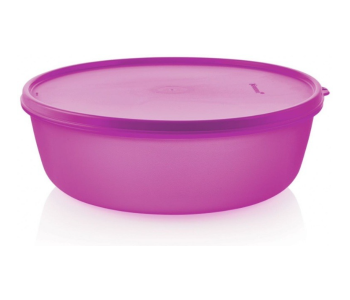 Tupperware SS Bowls (600 Ml, Set Of 2) Multi-colour - Airtight & Stackable Food Storage in UAE