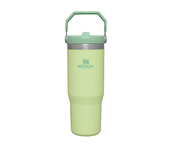 Stanley IceFlow Flip Straw Tumbler Citron Green in UAE
