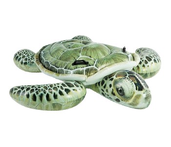 Intex ZX-57555 Realistic Sea Turtle Ride-On in OMAN