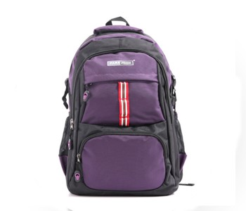 Para John PJSB6015A20 20-inch School Bag - Purple in UAE