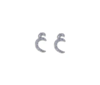 Express Delivery - Sterling Silver Arabic Letter Earring AIN For Women - ID 140862