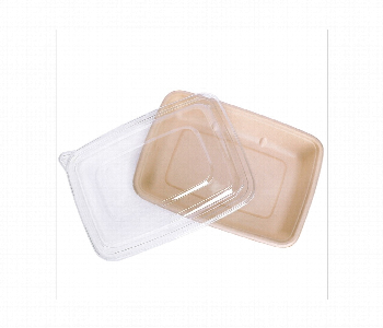 Express Delivery - sugarcane rectangular container 1000ml is an eco friendly biodegradable food container made from bagasse - ID 7143540