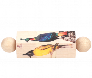 Express Delivery - Rotating Birds Educational Natural Wooden Puzzles for Kids - ID 7143694