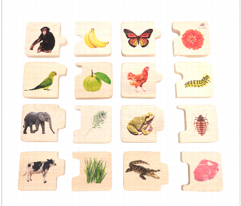 Express Delivery - Feed the Animals Chunky Wooden Puzzles - ID 7143699