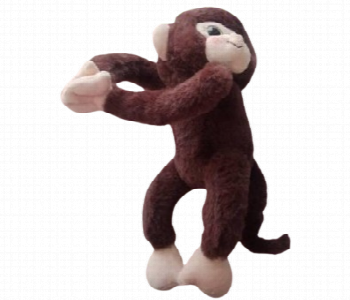 Express Delivery - Soft Toy 40cm Monkey Cute Plush for Kids - ID 7143771