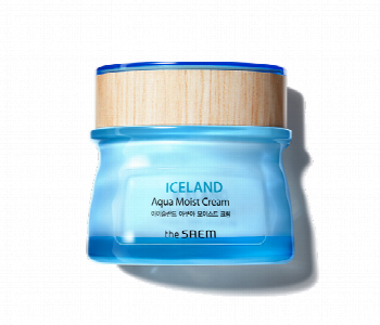 Express Delivery - The saem Iceland Aqua Moist Cream - ID 7146178