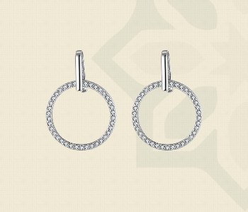 The Silver Circle Earrings 4253 Front View - ID 7147995
