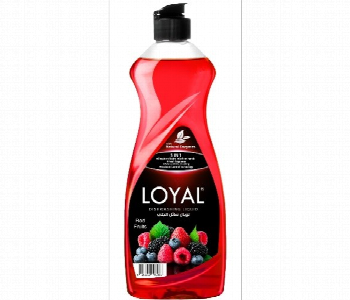 Express Delivery - Loyal Dishwashing  Liquid Red And Fruit 700Ml Red - ID 7149898