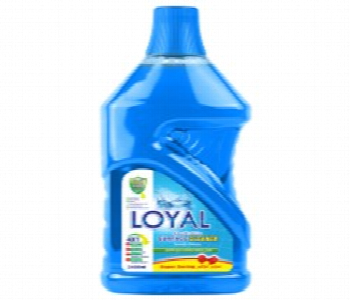 Express Delivery - Loyal Surface Cleaner Sea Breeze 2400Ml Blue - ID 7149954