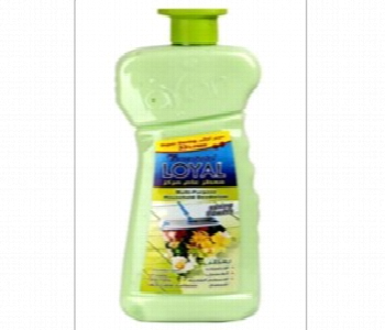 Express Delivery - Loyal Concentrated Multipurpose Household Deodorizer Spring Flowers 2100 Ml Green - ID 7150020