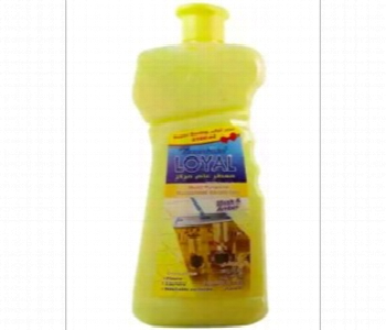 Express Delivery - Loyal Concentrated Multipurpose House Hold Deodorizer Musk And Amber 2100 Ml Yellow - ID 7150025