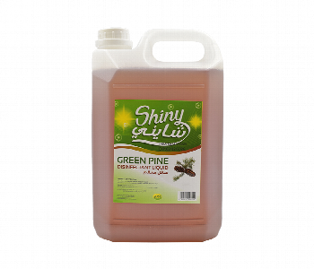 Express Delivery - Antiseptic Disinfectant Liquid 4X5 Litre - ID 7150190
