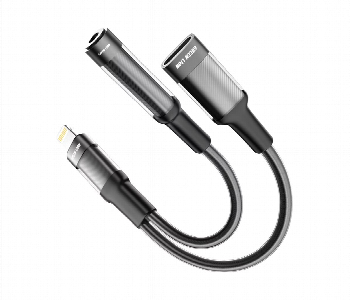 Express Delivery - Green Lion 2 In 1 Earphone And Charging Adapter Lightning To Lightning Plus  3.5 12Cm Black - ID 7151130