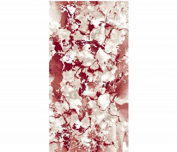 Express Delivery - Premium Lynosse Carpet 100X300 Made In Turkey Colour Red - ID 7153324