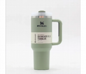Express Delivery - Stanley Quencher H2.0 Flow State Tumbler 40Oz Mint Green - ID 7154331